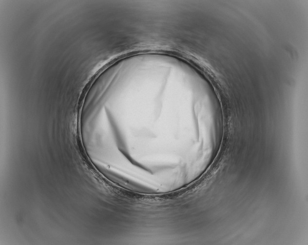 X0000112491220200908311425