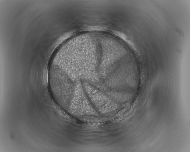 X0000112491221200908311425