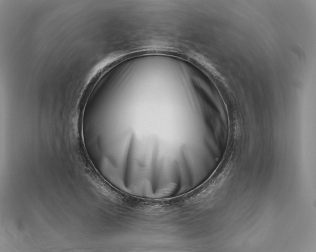 X0000112491222200908311425