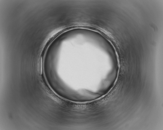 X0000112491223200908311425