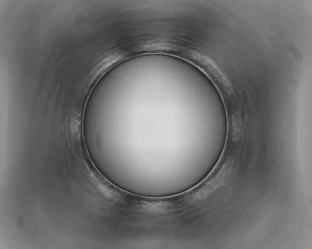 X0000112491225200908311425