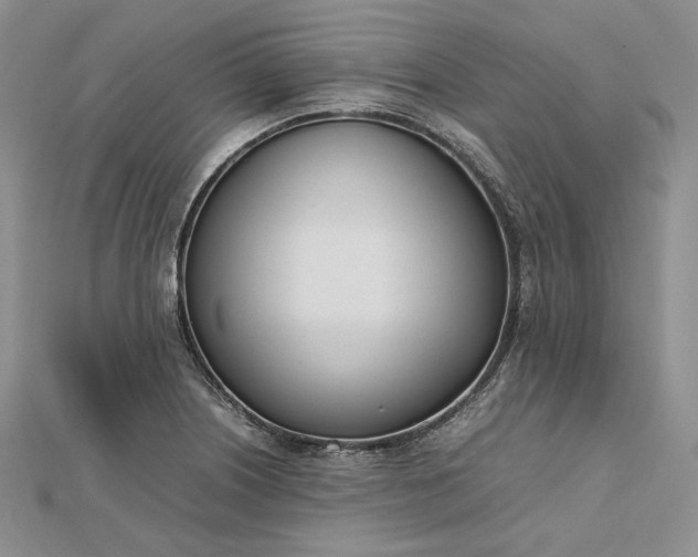 X0000112491226200908311425