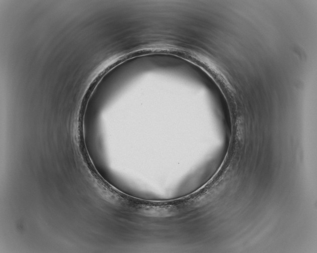 X0000112491229200908311425