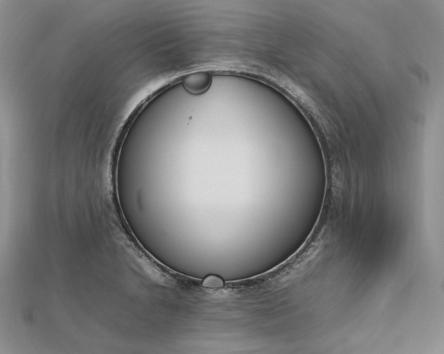 X0000112491230200908311425