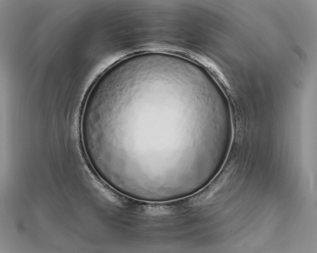 X0000112491231200908311425