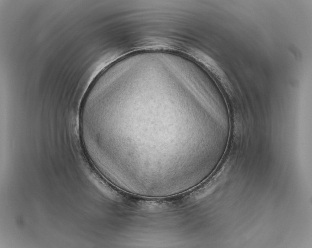 X0000112491234200908311425