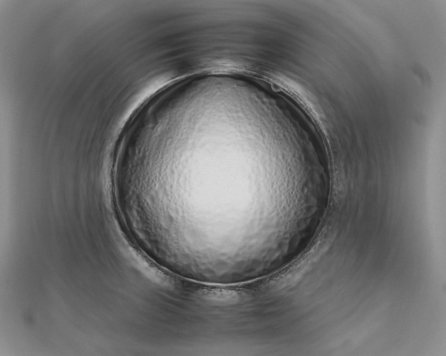 X0000112491235200908311425