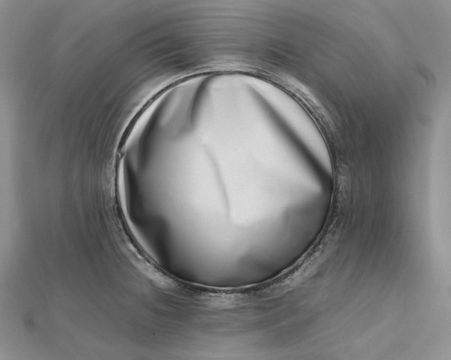 X0000112491236200908311425