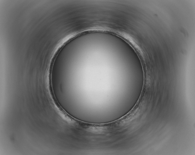 X0000112491237200908311425