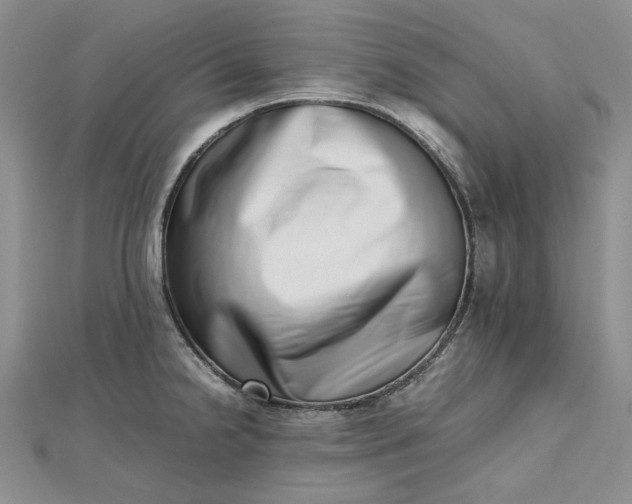 X0000112491238200908311425