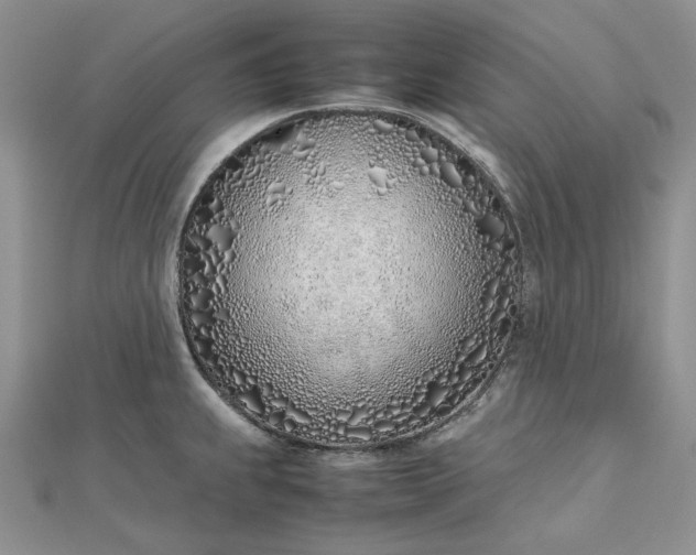 X0000112491239200908311425