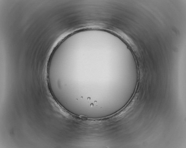 X0000112491240200908311425