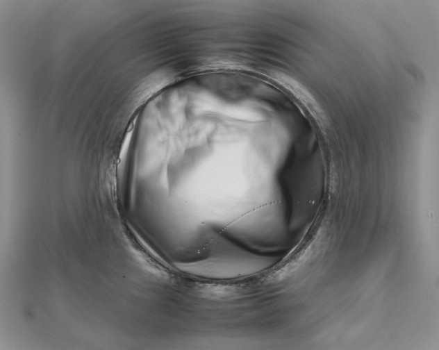 X0000112491241200908311425