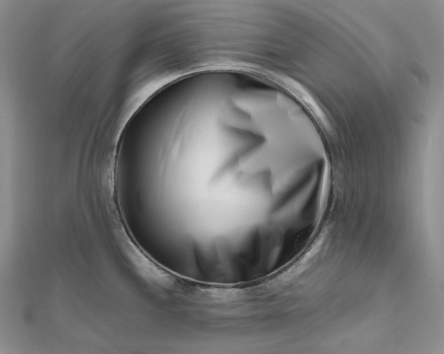 X0000112491244200908311425