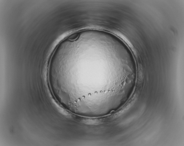 X0000112491245200908311425