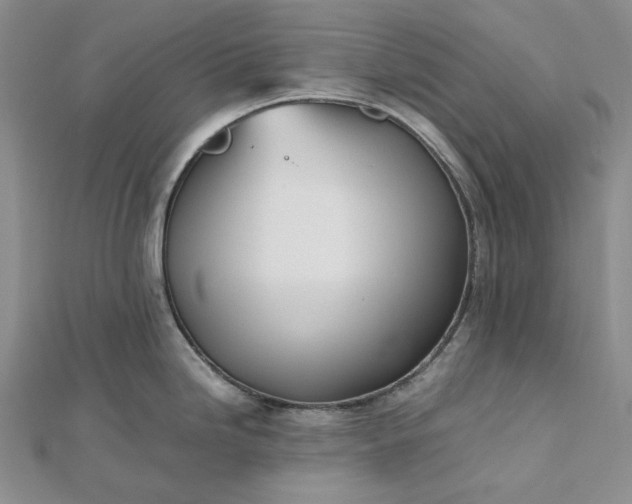 X0000112491246200908311425