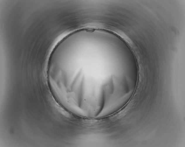 X0000112491248200908311425