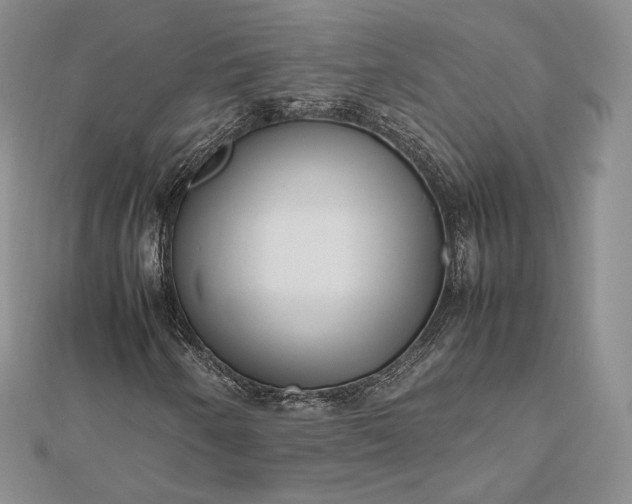 X0000112491250200908311425