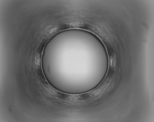 X0000112491251200908311425