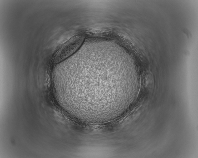 X0000112491253200908311424