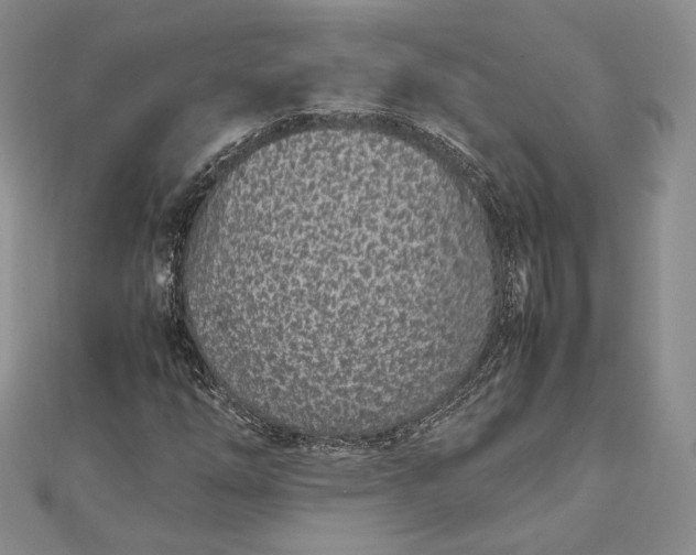 X0000112491254200908311424