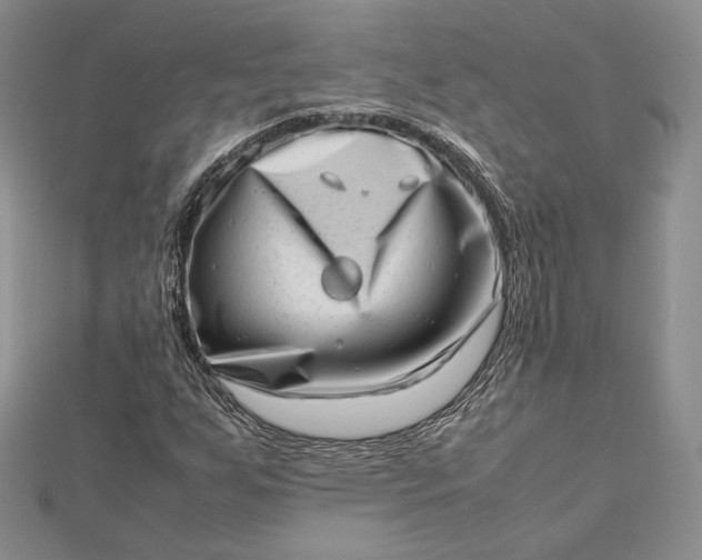 X0000112491255200908311424