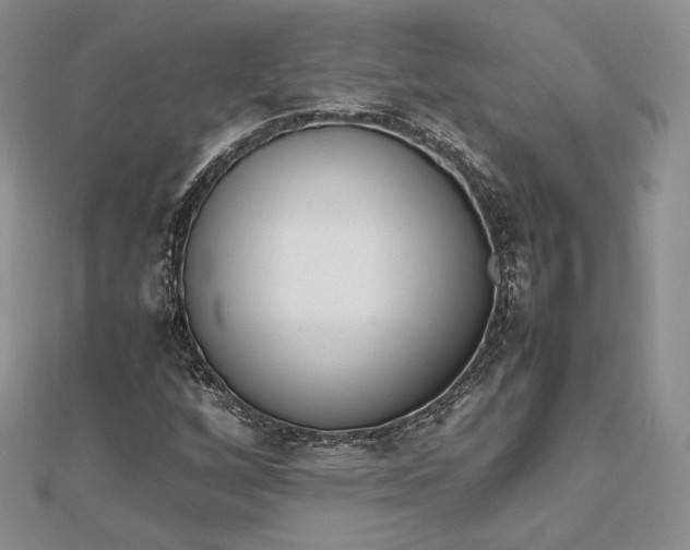 X0000112491256200908311424