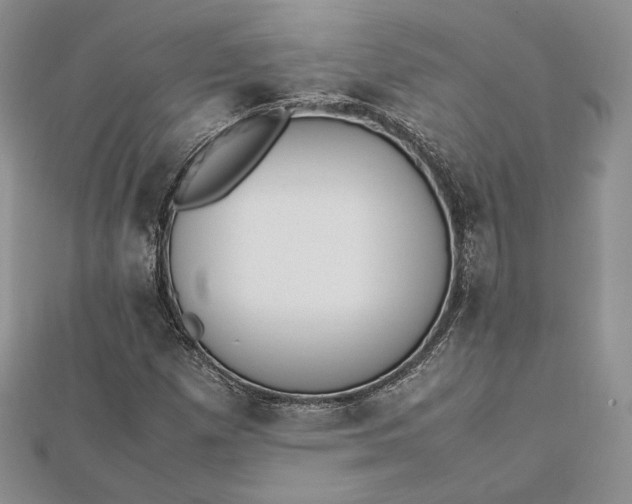 X0000112491257200908311424