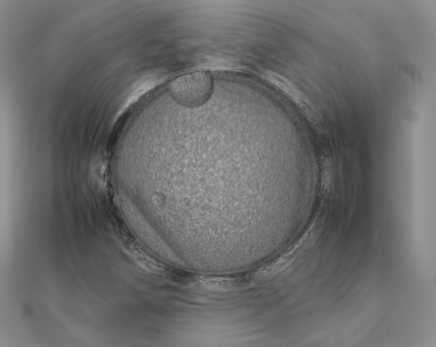 X0000112491258200908311424