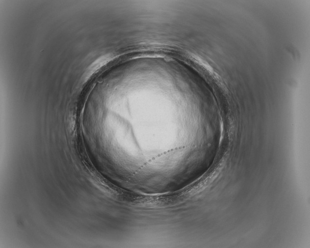 X0000112491259200908311424