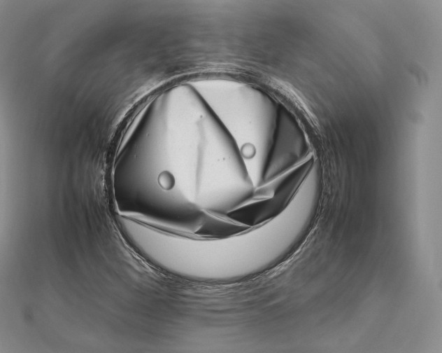 X0000112491260200908311424