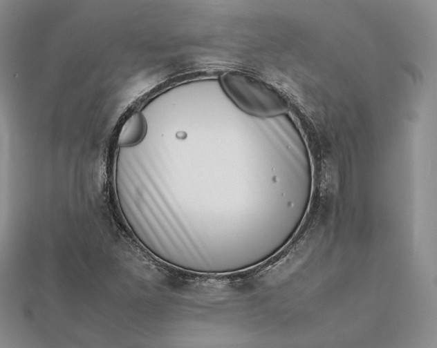 X0000112491261200908311424