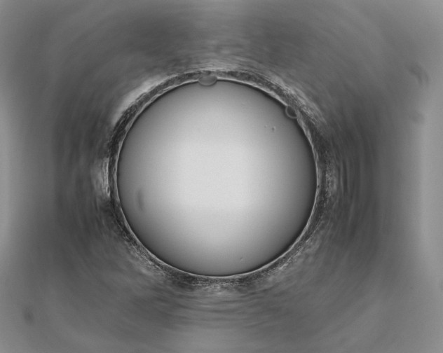 X0000112491262200908311424