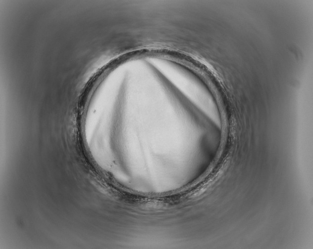 X0000112491263200908311424