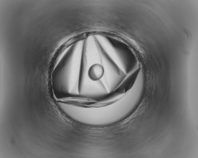 X0000112491264200908311424