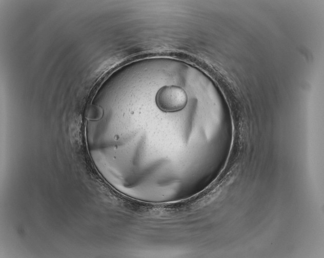 X0000112491265200908311424