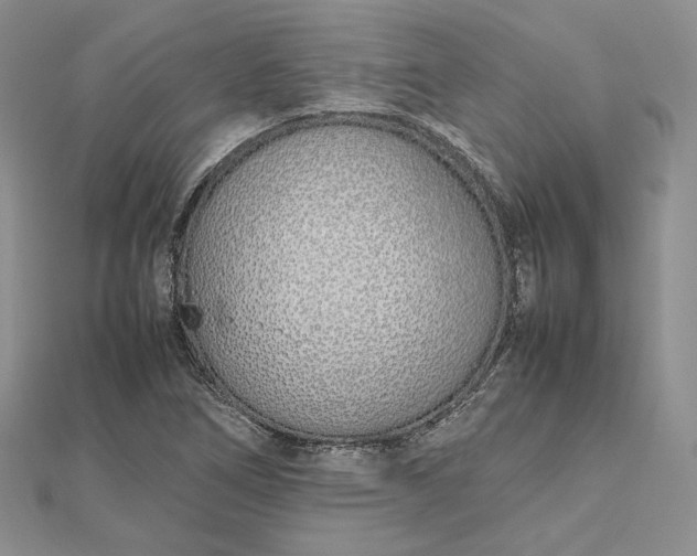 X0000112491266200908311424