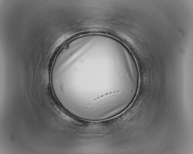 X0000112491267200908311424