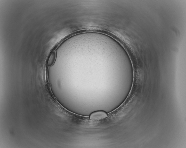 X0000112491269200908311424