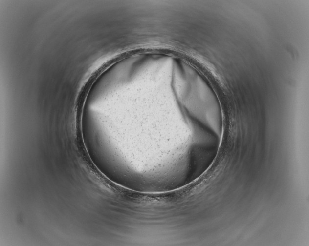 X0000112491270200908311424