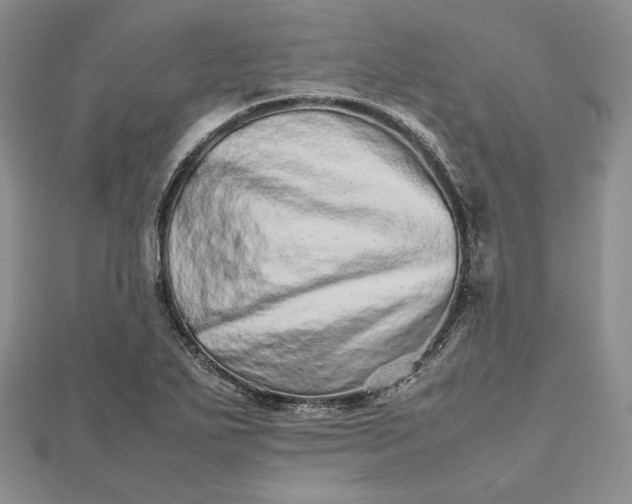 X0000112491271200908311424