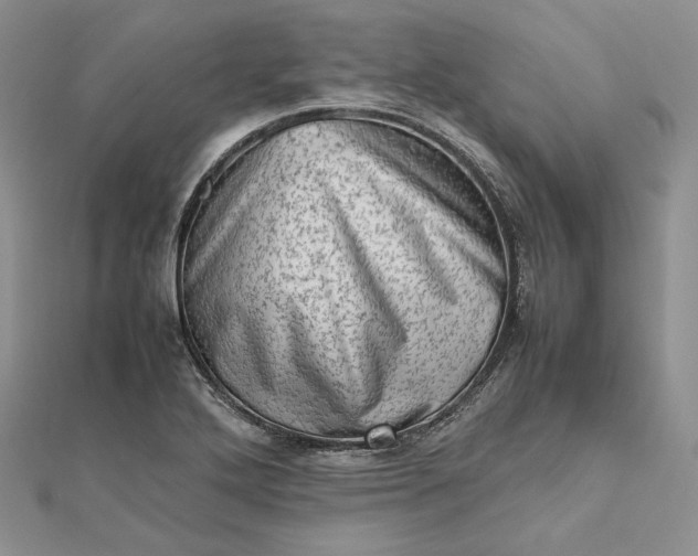 X0000112491272200908311424