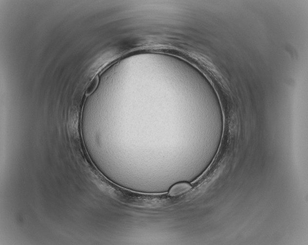 X0000112491273200908311424