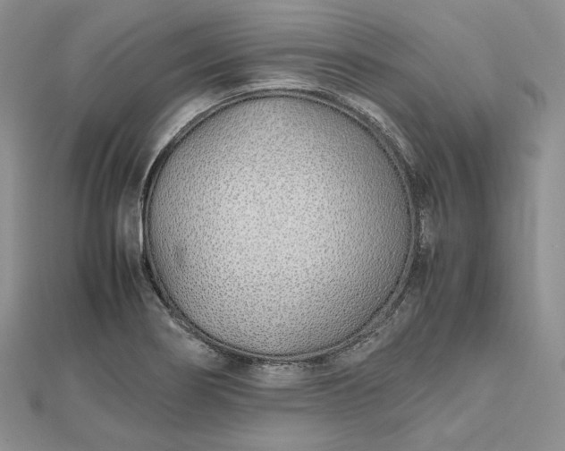 X0000112491274200908311424