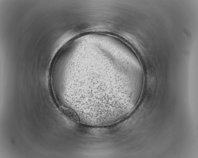 X0000112491277200908311424