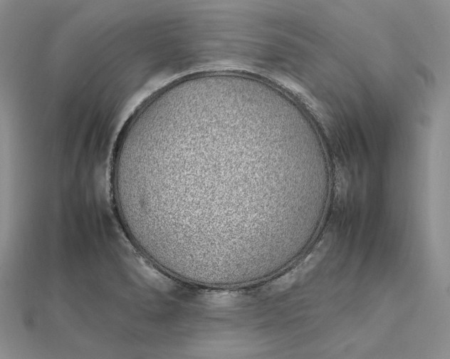 X0000112491278200908311424