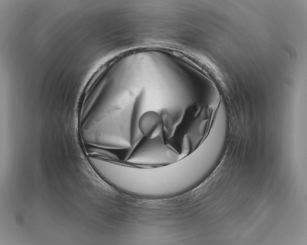 X0000112491280200908311424