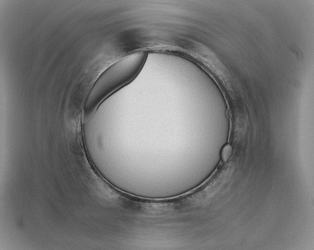 X0000112491281200908311424