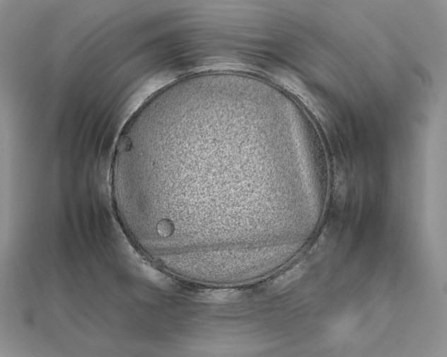 X0000112491282200908311424