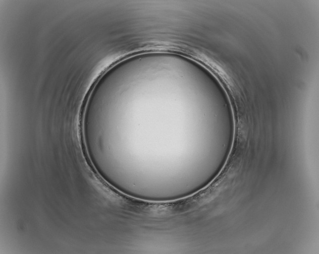 X0000112491283200908311424